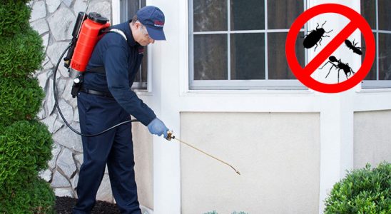 Divriği Bit İlaçlama böcek ilaçlama ve haşere kontrolü — ilaclama-tr.com